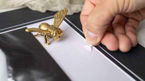 Mounted Photo Mat